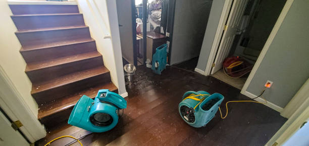 Best Water damage restoration experts  in El Monte, CA