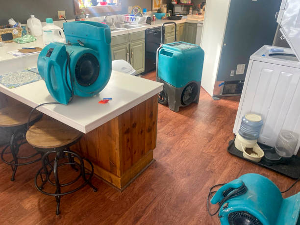 Best Ceiling water damage repair  in El Monte, CA