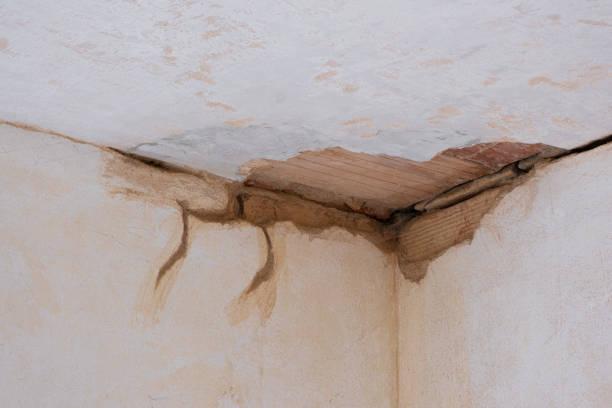 Best Local water damage restoration  in El Monte, CA