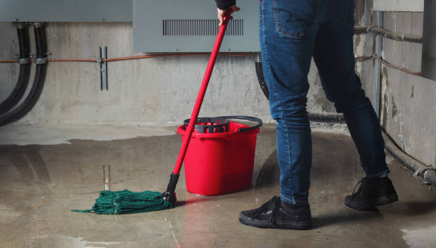 Best Local water damage restoration  in El Monte, CA