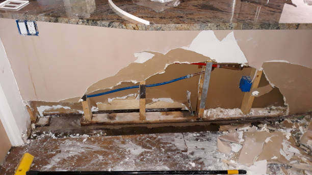 Best Basement water damage restoration  in El Monte, CA