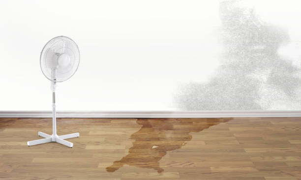 Best Flooded house restoration  in El Monte, CA