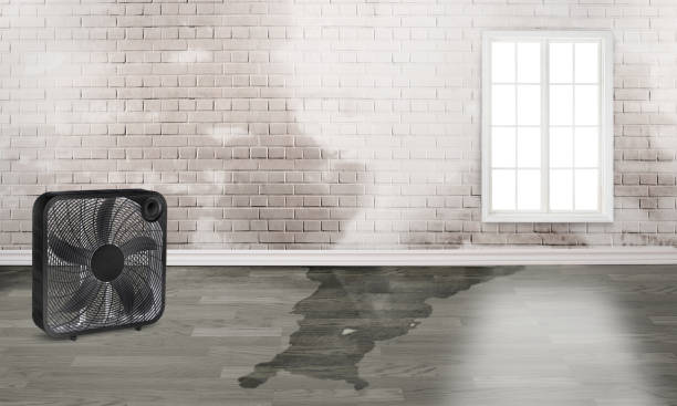 Best Emergency water damage restoration  in El Monte, CA