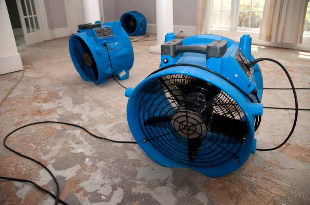 Best Basement water damage restoration  in El Monte, CA