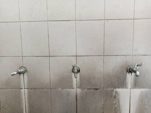 Best Flood restoration services  in El Monte, CA
