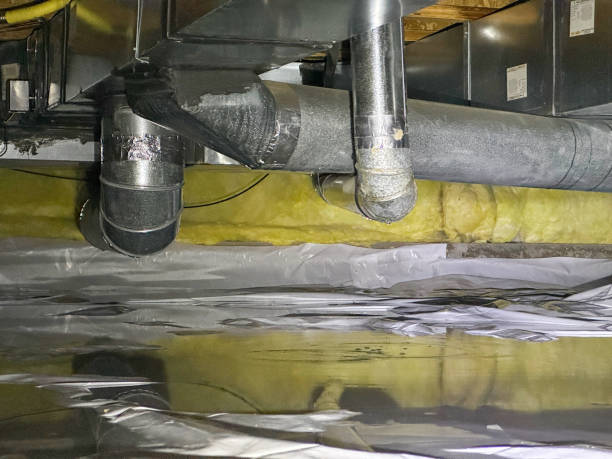 Best Water damage contractors near me  in El Monte, CA