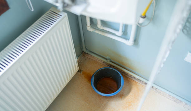 Best Mold removal after water damage  in El Monte, CA