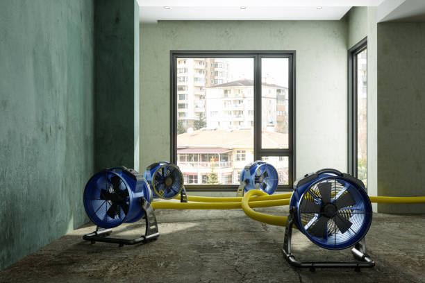 Sewage cleanup and water damage restoration in El Monte, CA