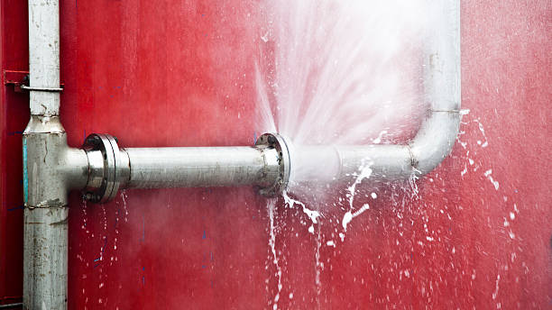 Best Professional water damage repair  in El Monte, CA