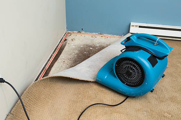 Best 24/7 water damage repair  in El Monte, CA